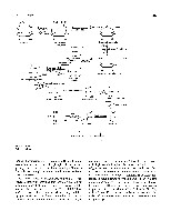 Bhagavan Medical Biochemistry 2001, page 258